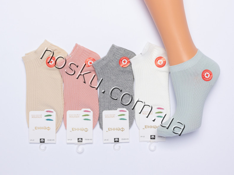 Шкарпетки жіночі 10 пар ТМ Фенна 21211