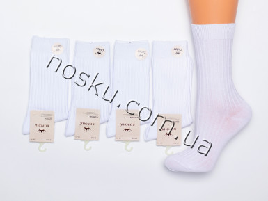 Шкарпетки жіночі 10 пар ТМ Корона 22569