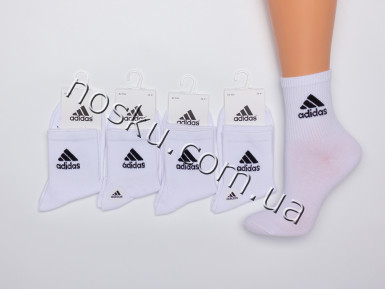 Шкарпетки жіночі спортивні середні 10 пар 22610