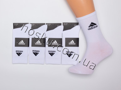 Шкарпетки чоловічі спортивні 10 пар 12373