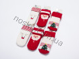 Шкарпетки дитячі махрові 12 пар ТМ Arti 33061