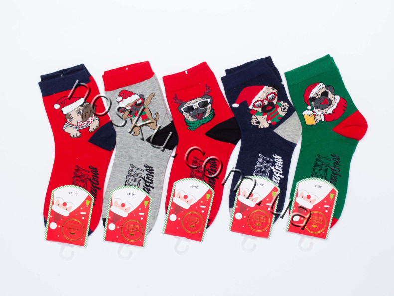 Шкарпетки жіночі новорічні 10 пар ТМ Корона 22301