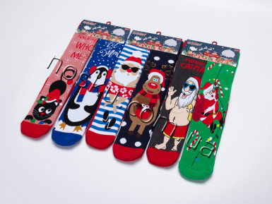 Шкарпетки жіночі новорічні махрові 12 пар ТМ Ekmen 23071