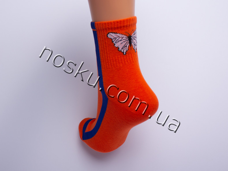 Шкарпетки жіночі 10 пар ТМ Золото 22239
