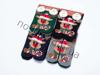 Шкарпетки дитячі новорічні махрові 12 пар ТМ Pier Lone 33045